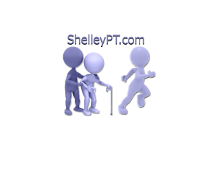 Shelley Physical Therapy and Fitness Center